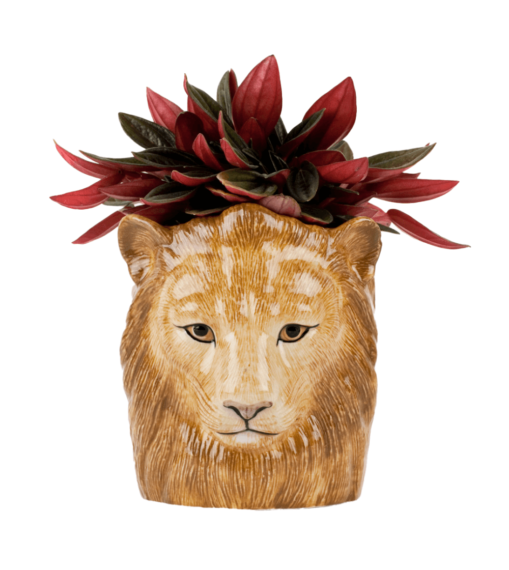 Pet Buddies: Leo León Pencil Pot