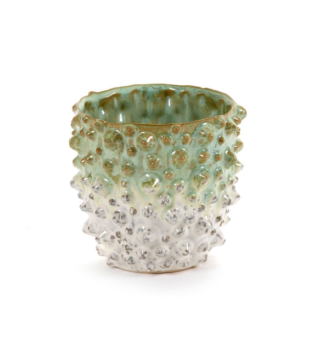 Macetero Prickly 13,5