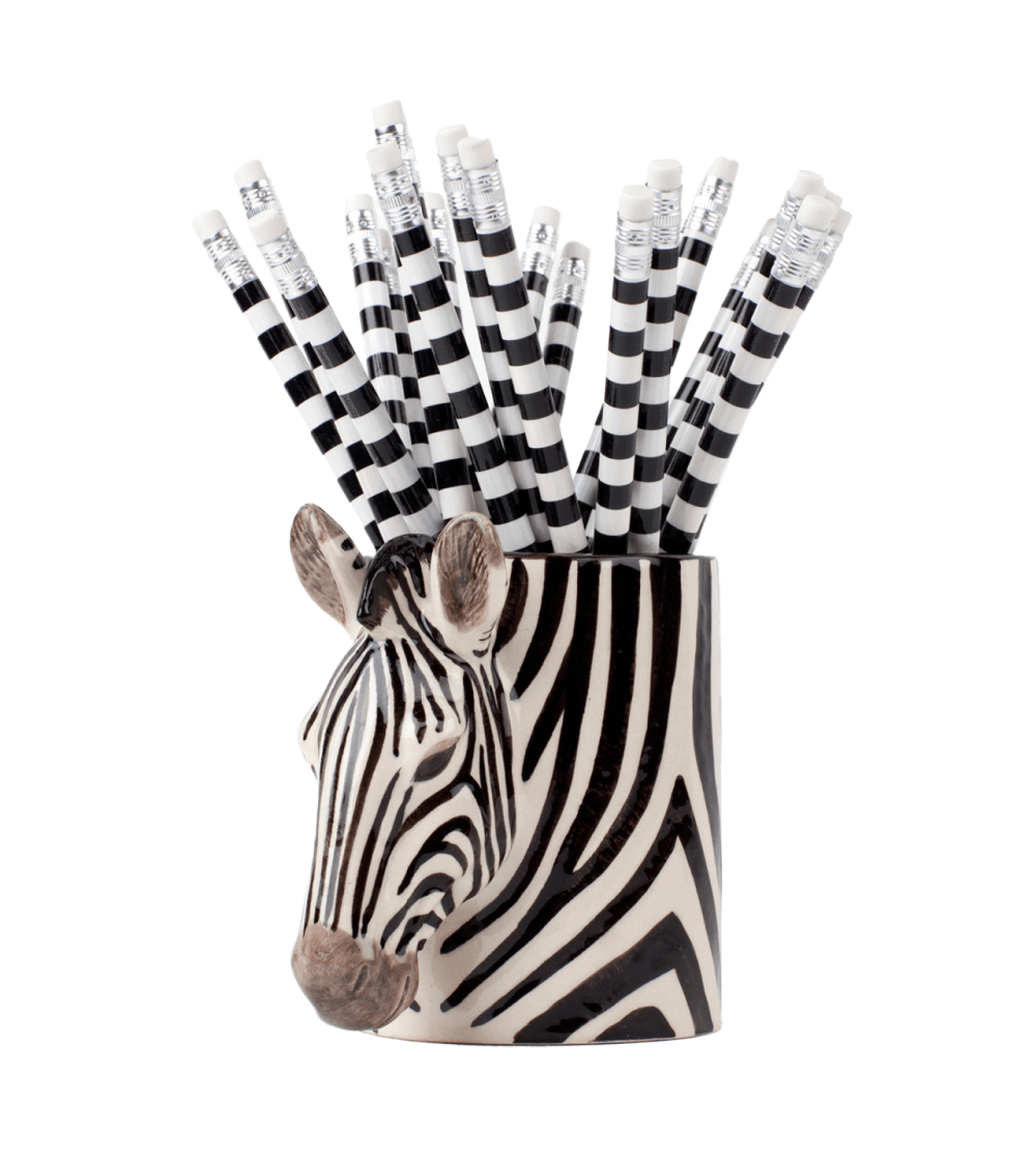 Pet Buddies: Zebra Ziggy Pencil Pot