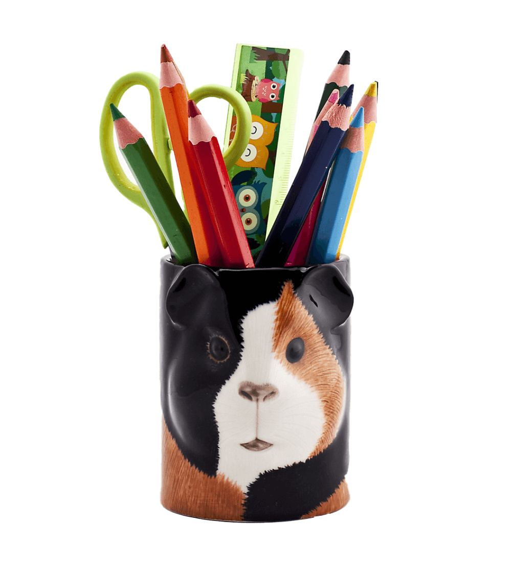 Pet Buddies: Cova Cobaya Pencil Pot