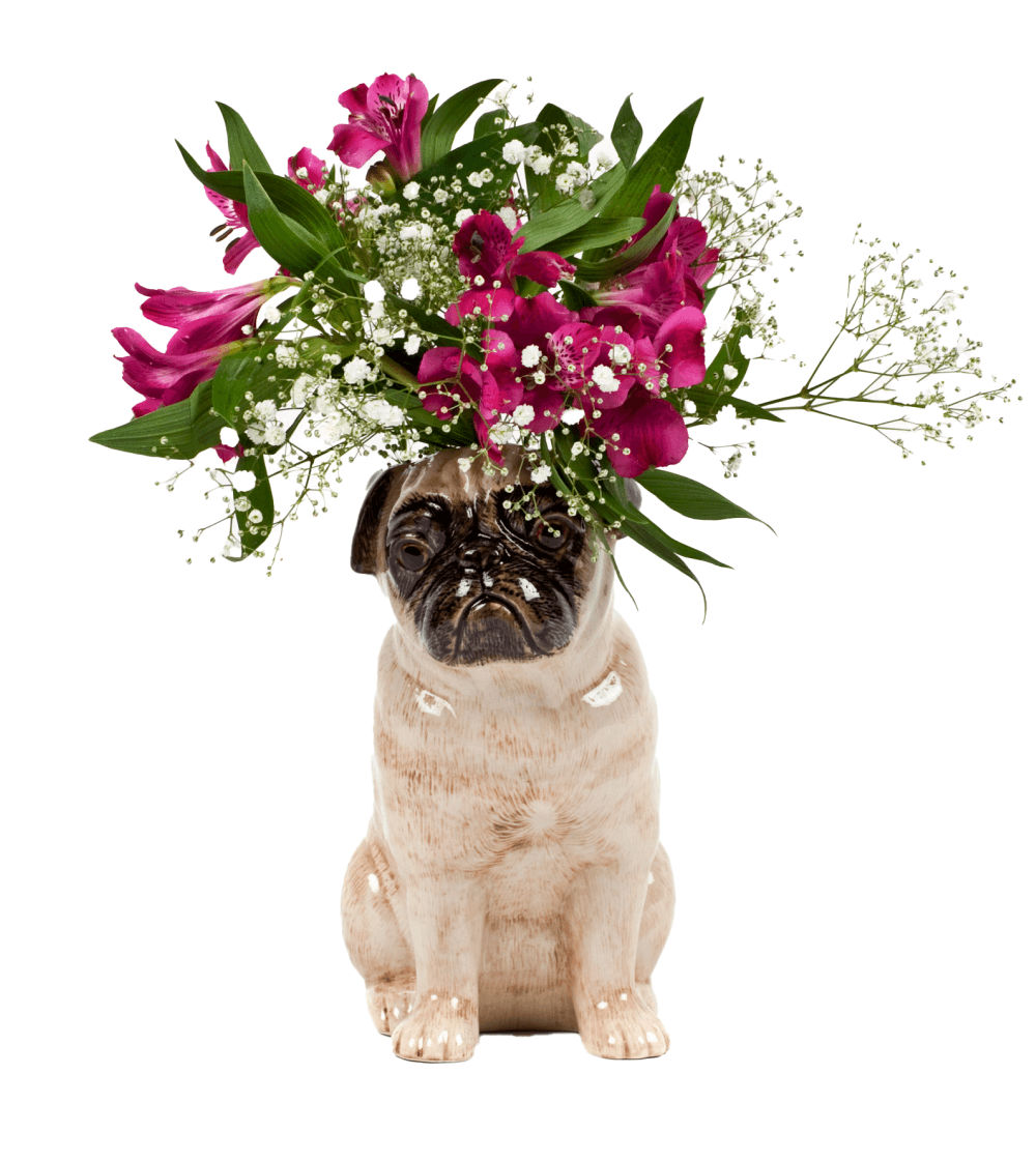 Pet Buddies: Carlo Carlino Flower Vase